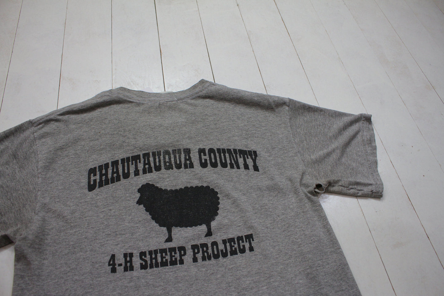 2000s Y2K Chautauqua County New York 4-H Sheep Project T-Shirt Size M