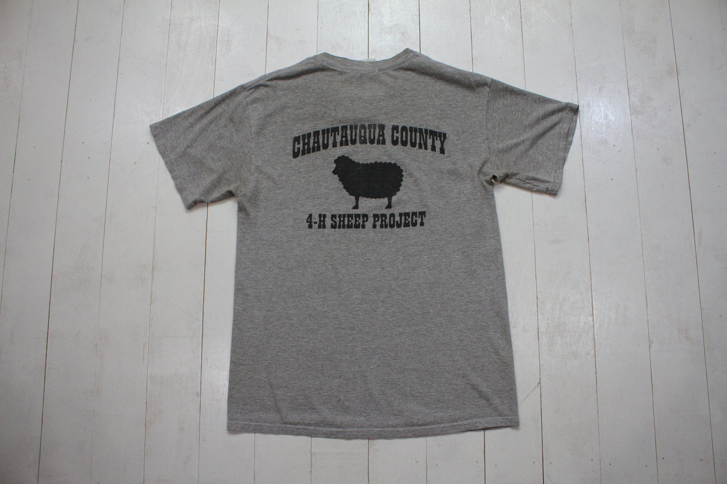 2000s Y2K Chautauqua County New York 4-H Sheep Project T-Shirt Size M