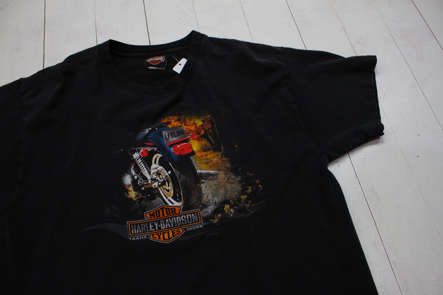 2010s 2016 Harley-Davidson Black Hills Rapid City South Dakota Motorcycle T-Shirt Size L