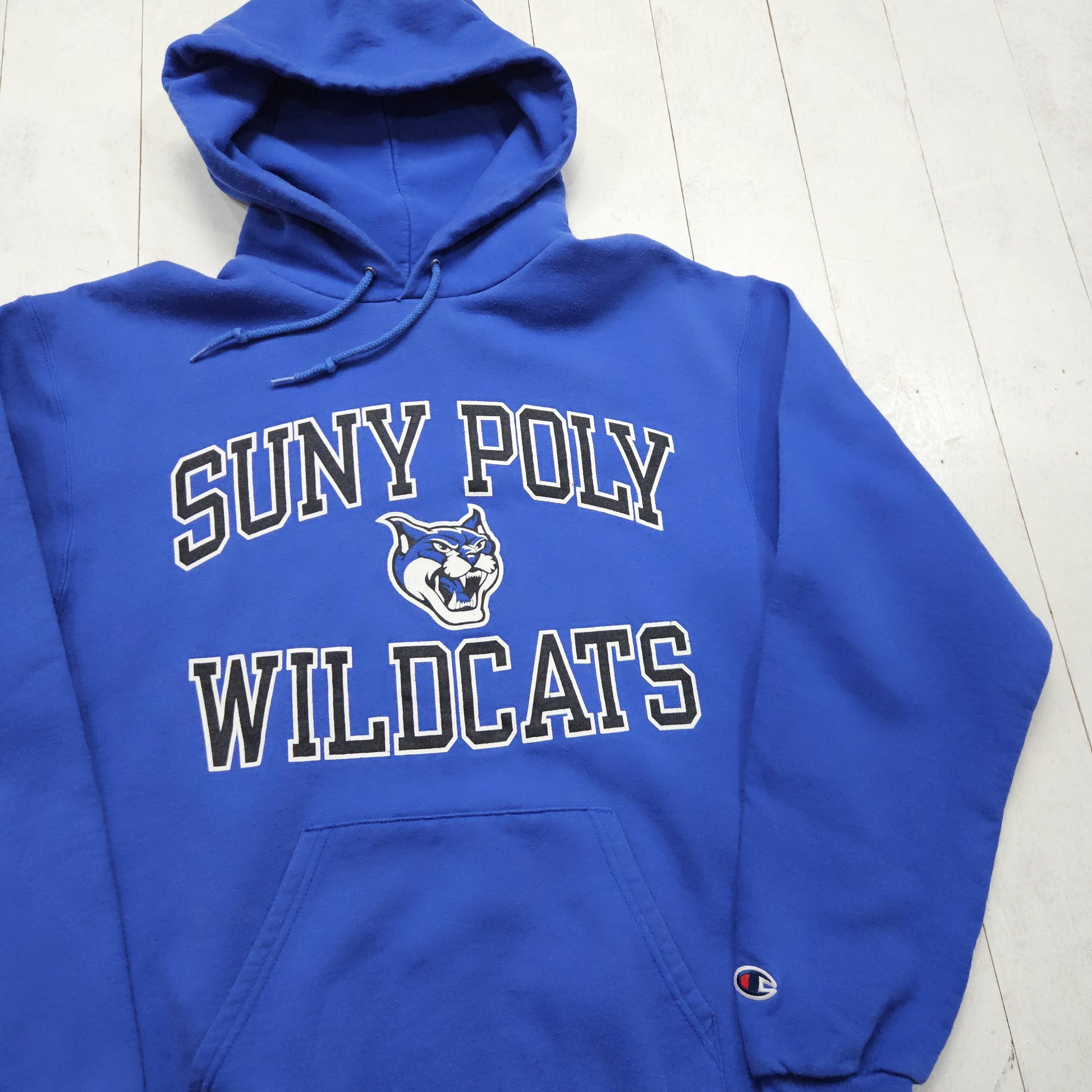 2000s/2010s Champion Blue SUNY Poly Wildcats Hoodie Sweatshirt Size M