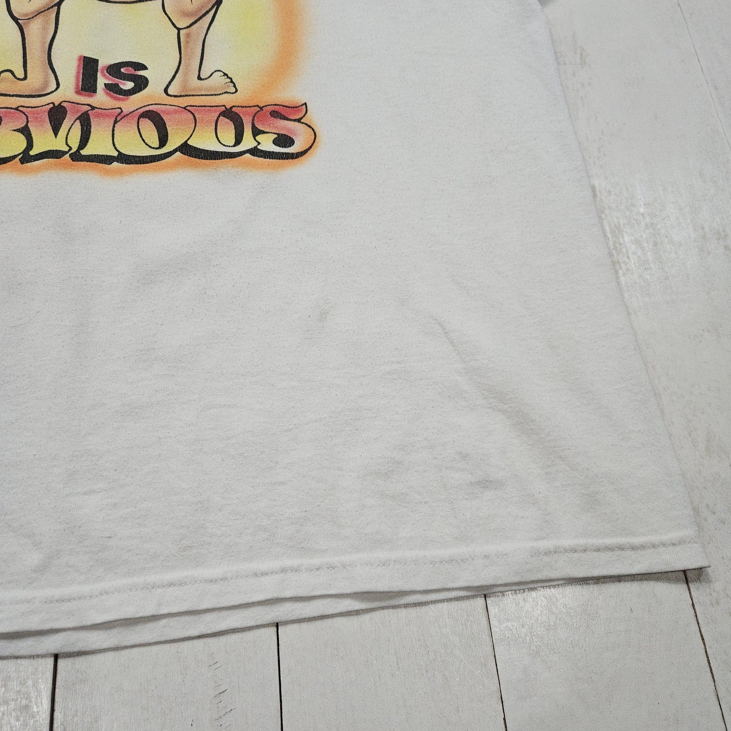 2000s Y2K Your Problem is Obvious Funny Airbrush T-Shirt Size L/XL