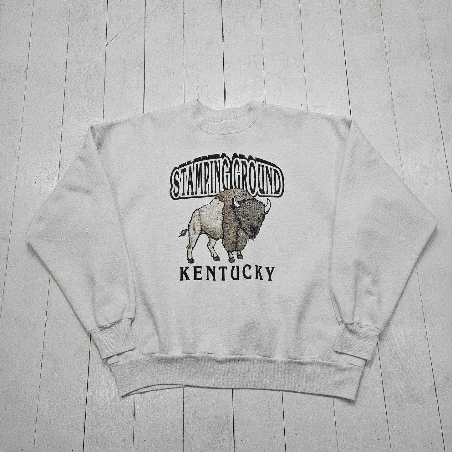 1990s/2000s Y2K Stamping Ground Kentucky Bison Souvenir Sweatshirt Size L