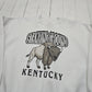 1990s/2000s Y2K Stamping Ground Kentucky Bison Souvenir Sweatshirt Size L