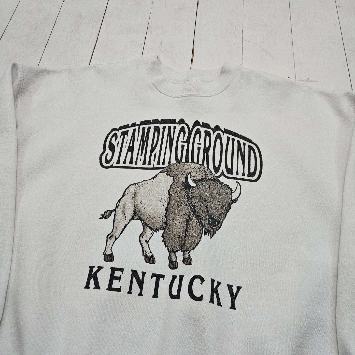 1990s/2000s Y2K Stamping Ground Kentucky Bison Souvenir Sweatshirt Size L