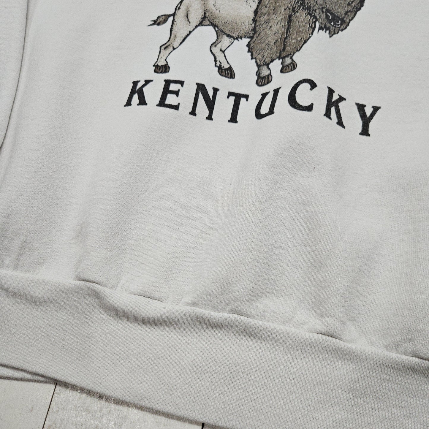 1990s/2000s Y2K Stamping Ground Kentucky Bison Souvenir Sweatshirt Size L