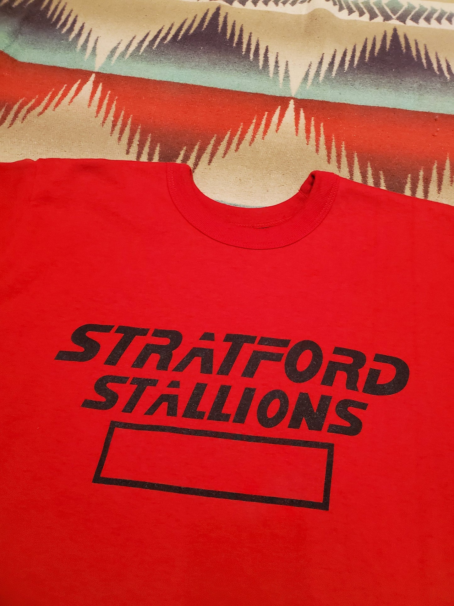 1980/90s Stratford Stallions Reversible Gym T-Shirt Made in USA Size L